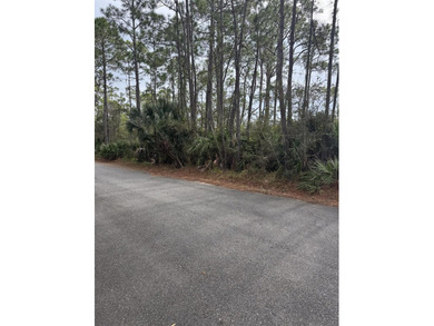 1 acre lot on marsh with potential views of the bay. Perfect - photo 4