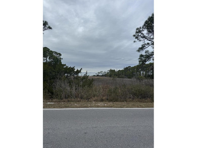 1 acre lot on marsh with potential views of the bay. Perfect - photo 6