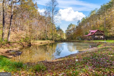 Lake Home For Sale in Ellijay, Georgia