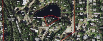 Lake Lot For Sale in Floral City, Florida