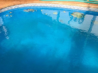 Premier North Kihei Multi-Unit Investment Opportunity. Located - photo 42