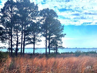 (private lake, pond, coastal) Acreage For Sale in Gulf Shores Alabama