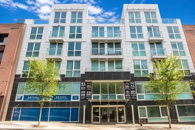 Beautiful luxury one-bedroom, one-bath condo with private - photo 7