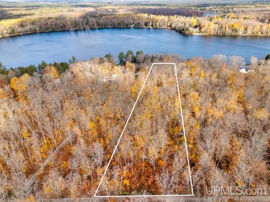 Smith Lake Lot For Sale in Manistique Michigan