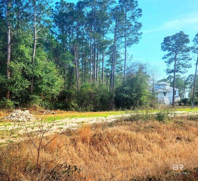 85' of Waterfront on the Lagoon! You can build close to the - photo 3