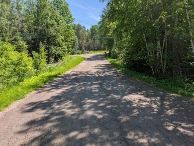 Discover the perfect Northwoods retreat on this beautifully - photo 1