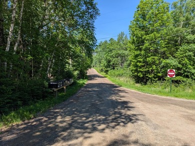 Discover the perfect Northwoods retreat on this beautifully - photo 2