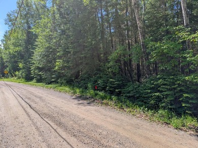 Discover the perfect Northwoods retreat on this beautifully - photo 3