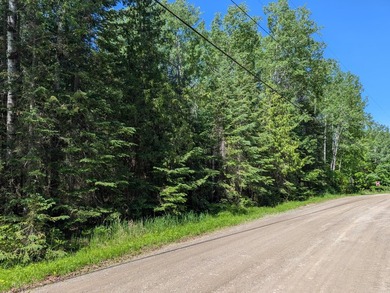 Discover the perfect Northwoods retreat on this beautifully - photo 4