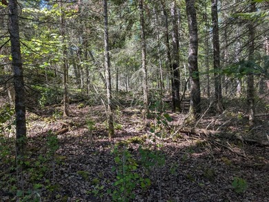 Discover the perfect Northwoods retreat on this beautifully - photo 5
