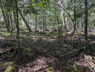 Discover the perfect Northwoods retreat on this beautifully - photo 6