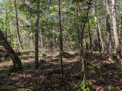 Discover the perfect Northwoods retreat on this beautifully - photo 7