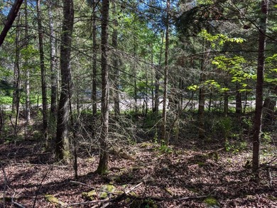 Discover the perfect Northwoods retreat on this beautifully - photo 8