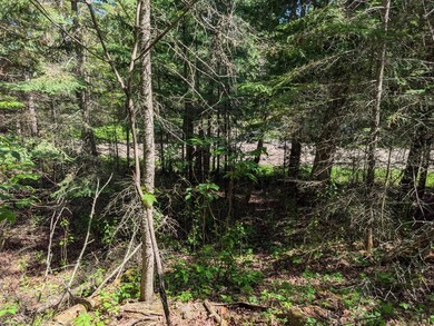 Discover the perfect Northwoods retreat on this beautifully - photo 9