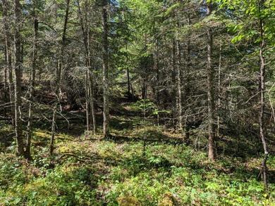 Discover the perfect Northwoods retreat on this beautifully - photo 10
