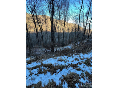 Mars Hill Reservoir Lot For Sale in Mars Hill North Carolina