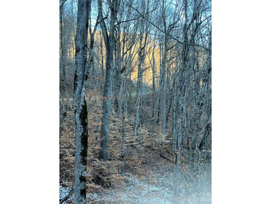 Mars Hill Reservoir Lot For Sale in Mars Hill North Carolina