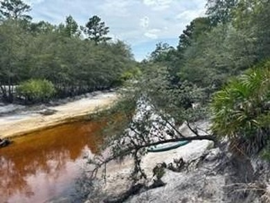 (private lake, pond, coastal) Lot For Sale in Saint George Georgia