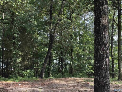 Lake Lot For Sale in Centre, Alabama
