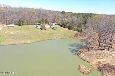 Boundary Lines are approximate in primary photo. All structures - photo 11