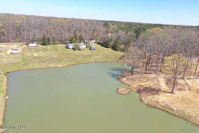 Boundary Lines are approximate in primary photo. All structures - photo 12