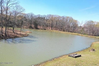 Boundary Lines are approximate in primary photo. All structures - photo 14