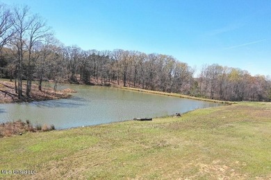 Boundary Lines are approximate in primary photo. All structures - photo 15