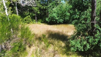 Build your dream home on this beautiful 2.34-acre lot in North - photo 14