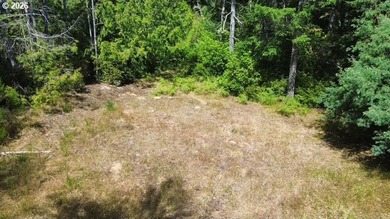 Build your dream home on this beautiful 2.34-acre lot in North - photo 16