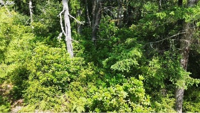 Build your dream home on this beautiful 2.34-acre lot in North - photo 17