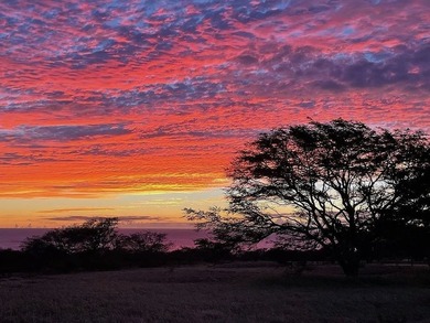 AN EXCEPTIONAL KOHALA COAST RANCH ESTATE within a gated private - photo 23