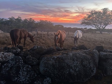 AN EXCEPTIONAL KOHALA COAST RANCH ESTATE within a gated private - photo 26