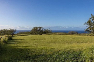 AN EXCEPTIONAL KOHALA COAST RANCH ESTATE within a gated private - photo 27