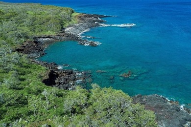 AN EXCEPTIONAL KOHALA COAST RANCH ESTATE within a gated private - photo 28