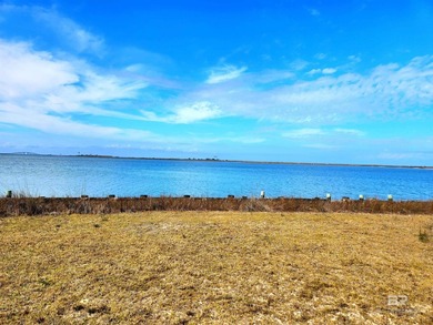 (private lake, pond, coastal) Lot For Sale in Dauphin Island Alabama