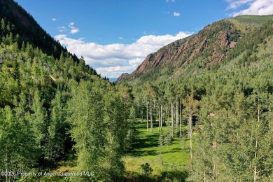 An Exceptional Opportunity in the Heart of Castle Creek Valley - photo 2