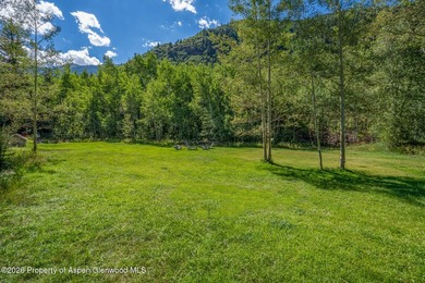 An Exceptional Opportunity in the Heart of Castle Creek Valley - photo 3