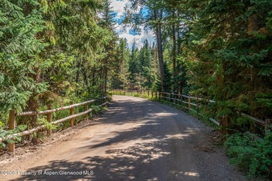 An Exceptional Opportunity in the Heart of Castle Creek Valley - photo 4