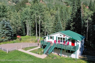 An Exceptional Opportunity in the Heart of Castle Creek Valley - photo 6