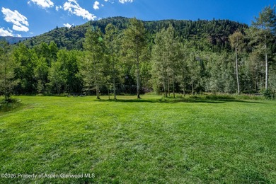 An Exceptional Opportunity in the Heart of Castle Creek Valley - photo 7