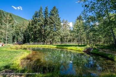 An Exceptional Opportunity in the Heart of Castle Creek Valley - photo 9