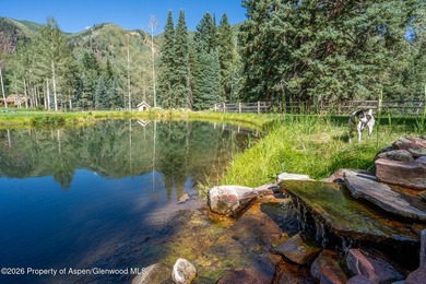 An Exceptional Opportunity in the Heart of Castle Creek Valley - photo 10