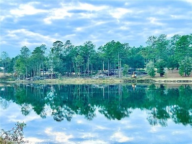 ***LAKE LOT*** APPROXIMATELY 1.4 ACRE LOT ON HEADWATERS LAKE IN - photo 14
