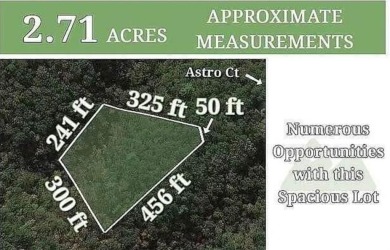 Lake Lot For Sale in Ranger, Georgia