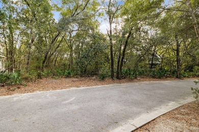 This exceptional 0.33-acre homesite offers bay views within the - photo 10