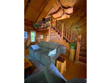 OZARK BLUFF DWELLERS CABINS Buffalo National River, the crown - photo 11