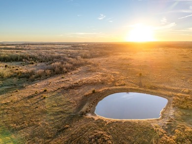 Welcome to the Clearview Ranch, an incredible 635 +/- acre cross - photo 11