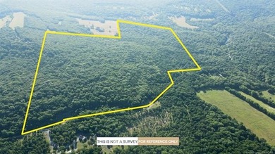 161.6+/- wooded acres near beautiful Lake Tenkiller offering - photo 12