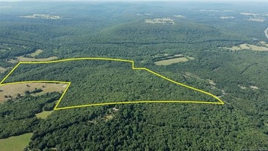 161.6+/- wooded acres near beautiful Lake Tenkiller offering - photo 13