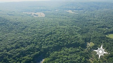 161.6+/- wooded acres near beautiful Lake Tenkiller offering - photo 14